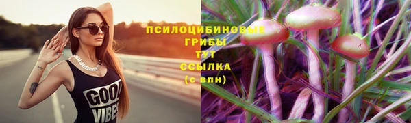 молекула духа Михайловск