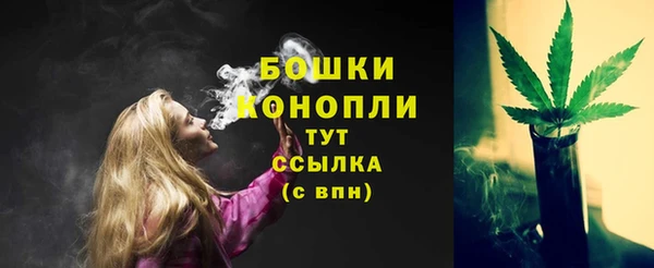 индика Михайлов