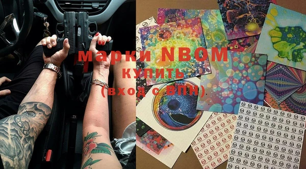 индика Михайлов