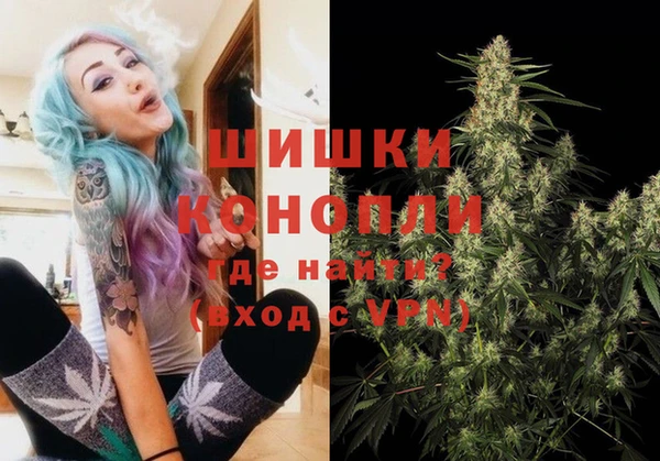 индика Михайлов