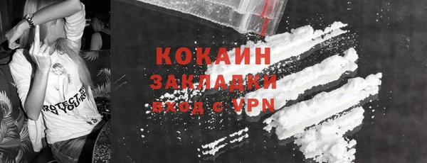 индика Михайлов