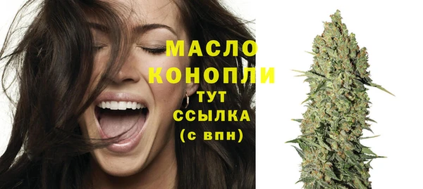 молекула духа Михайловск