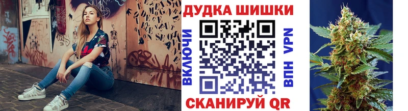 МАРИХУАНА сатива  Новоузенск 